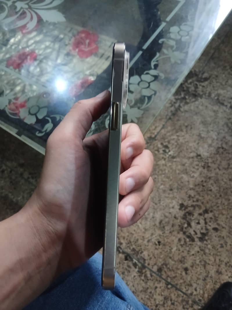Apple iPhone 12 Pro Max 1