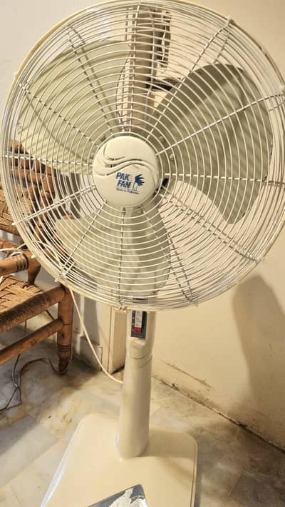 Pak fan off white