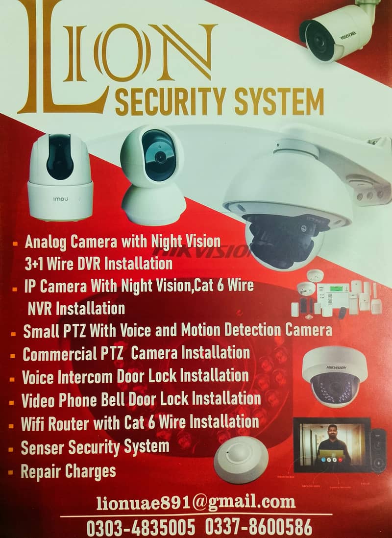 Lion Security system 0