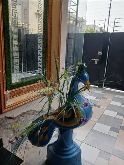 Peacock Plant