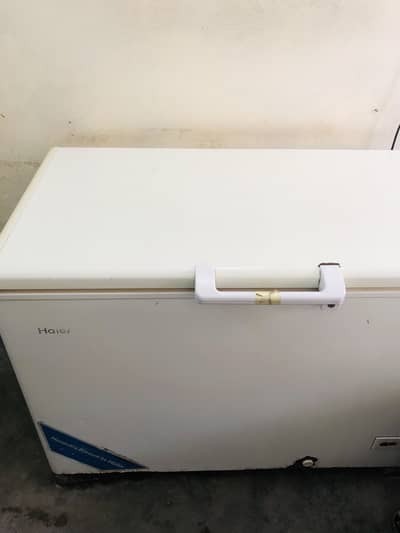 Haier Dee freezer