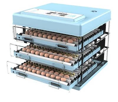 full automatic imported 210 eggs incubator dual supply ac dc