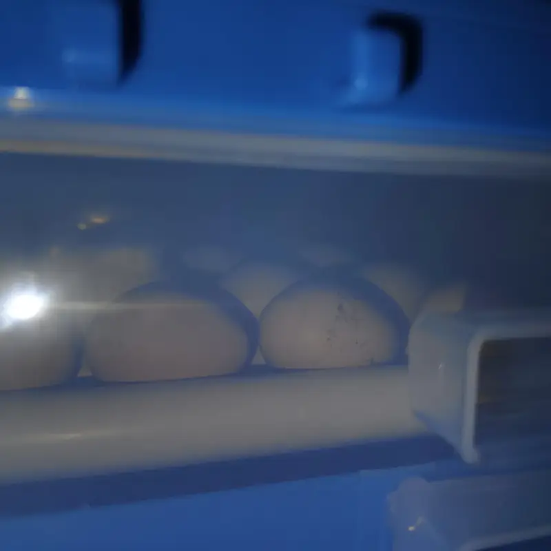 full automatic imported 210 eggs incubator dual supply ac dc — photo 4
