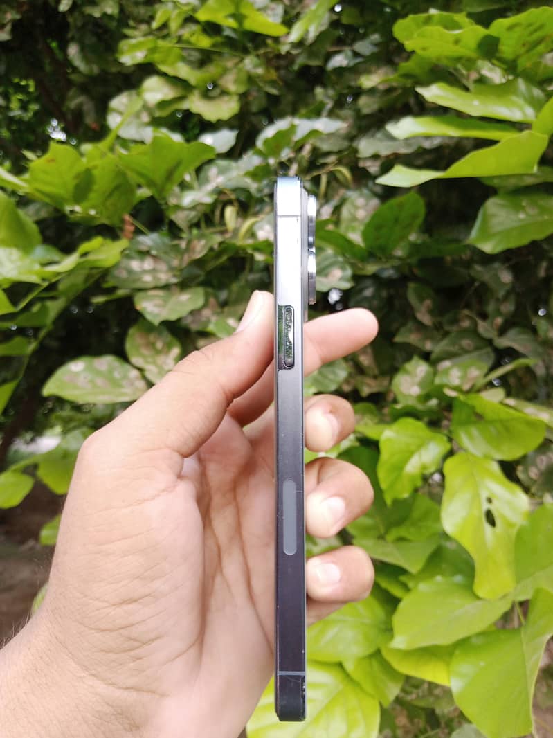 Apple iPhone 13 Pro Max 2