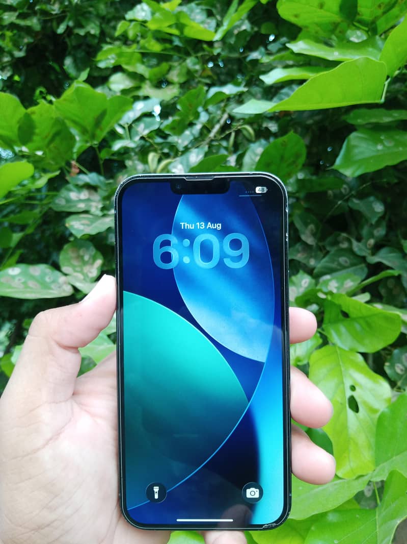 Apple iPhone 13 Pro Max 6