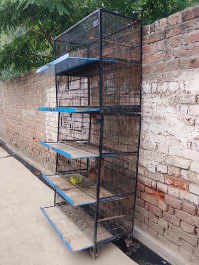 iron cages for hens