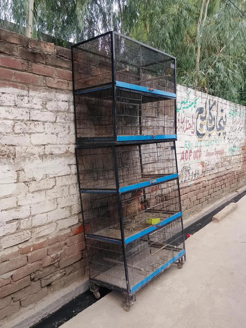 iron cages for hens — photo 2