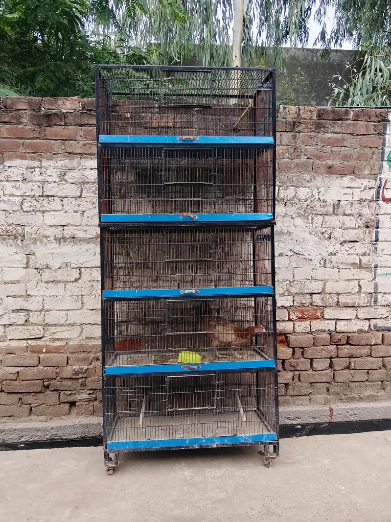 iron cages for hens — photo 3