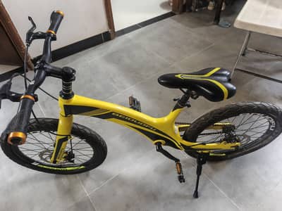 bicycle (kids)