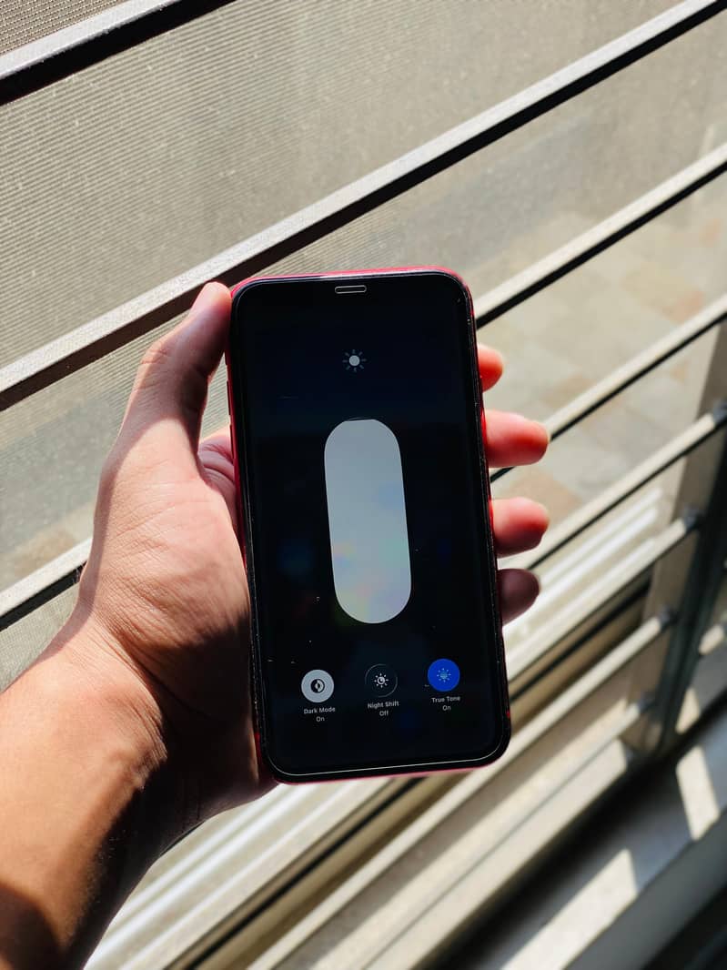 Apple iPhone 11 2