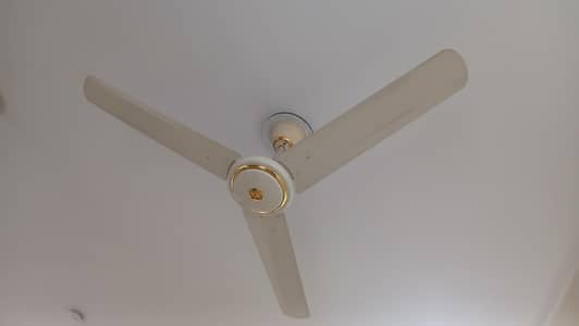GFC ceiling fan