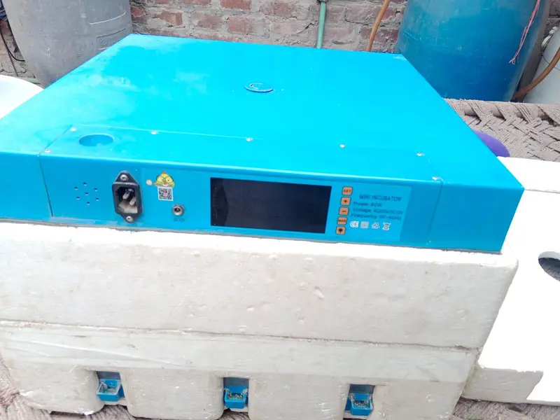 Eggs incubator | Eggs hatching machine | incubator for sale