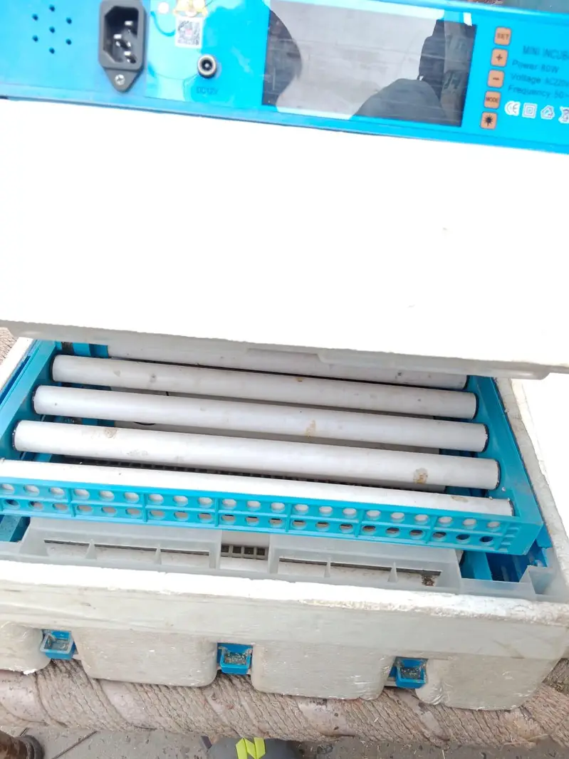 Eggs incubator | Eggs hatching machine | incubator for sale — photo 2
