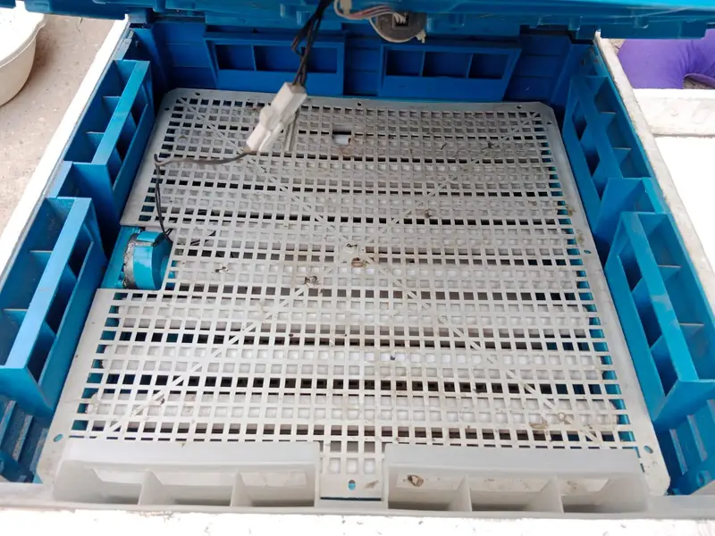 Eggs incubator | Eggs hatching machine | incubator for sale — photo 3