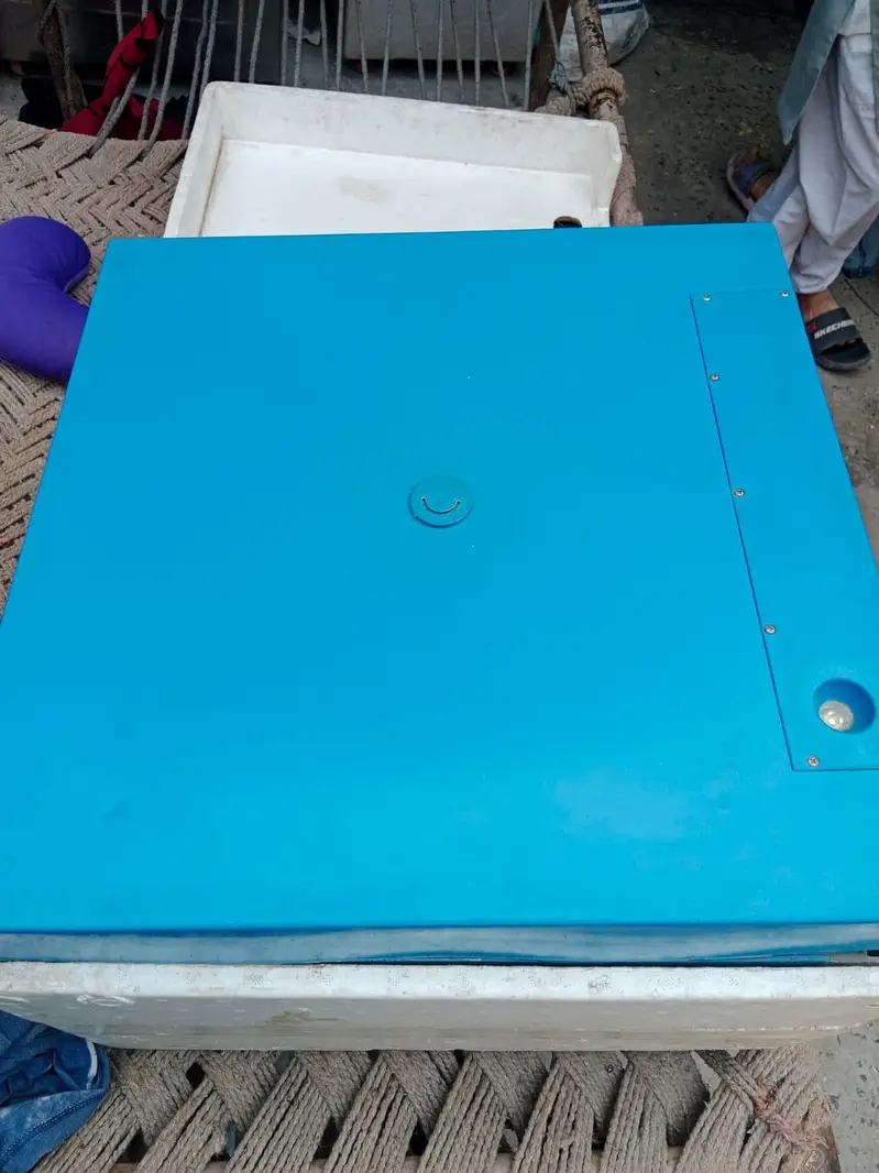 Eggs incubator | Eggs hatching machine | incubator for sale — photo 4