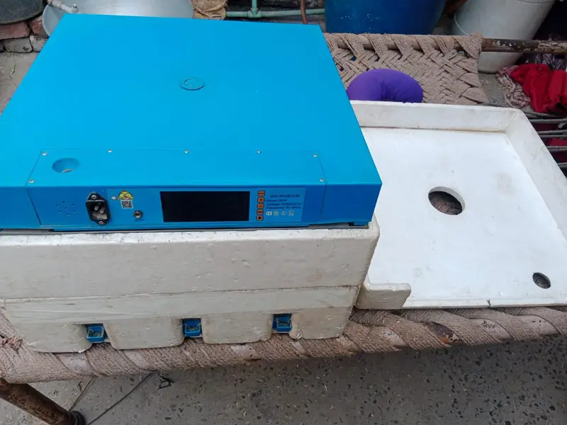 Eggs incubator | Eggs hatching machine | incubator for sale — photo 6