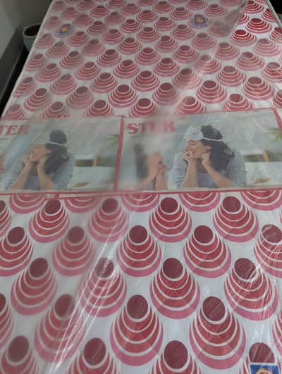New Master Single Bed Foam