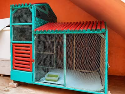 Large Wooden Bird Cage / Aviary – Strong & Spacious