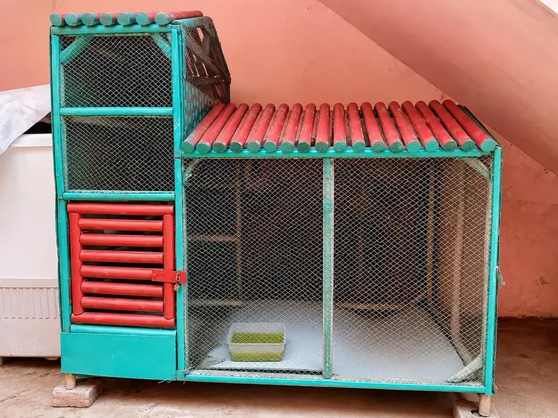 Large Wooden Bird Cage / Aviary – Strong & Spacious — photo 2