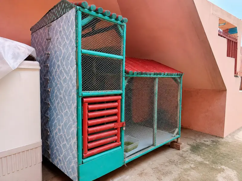 Large Wooden Bird Cage / Aviary – Strong & Spacious — photo 3