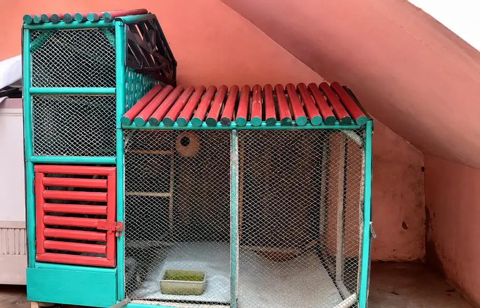 Large Wooden Bird Cage / Aviary – Strong & Spacious — photo 4