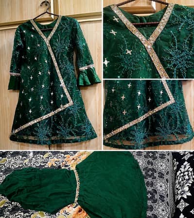 Independence Day Special Green Embroidered Dress