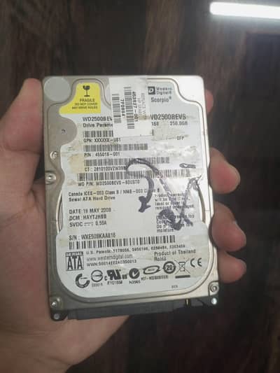 Hard Drive 250GB