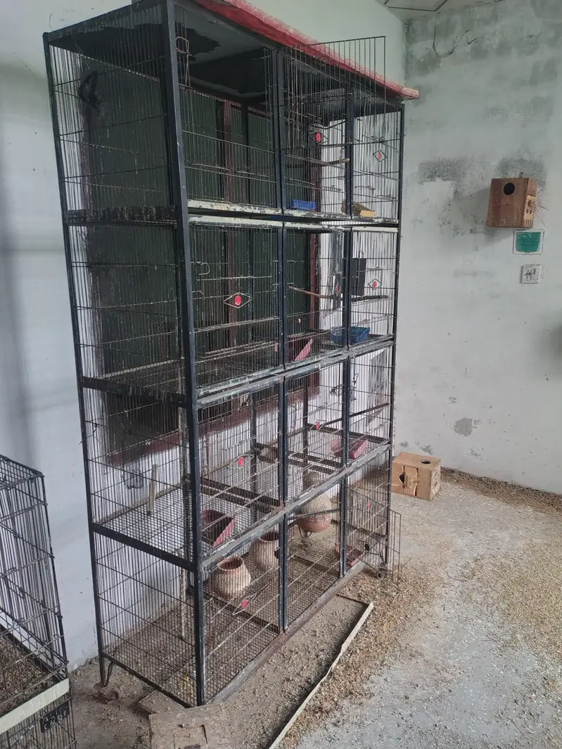 Iron Bird Cages / Parindon Ke Lohe Ke Pinjray for Sale