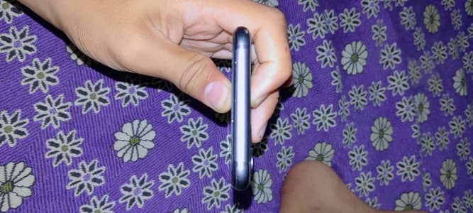 Apple iPhone 11 no open repair