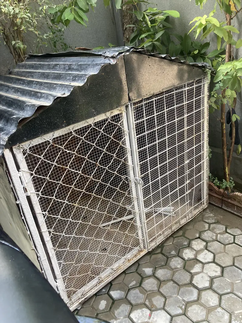 A BIG Dog/Hens House Cage For Sale — photo 3