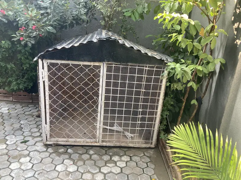 A BIG Dog/Hens House Cage For Sale — photo 4