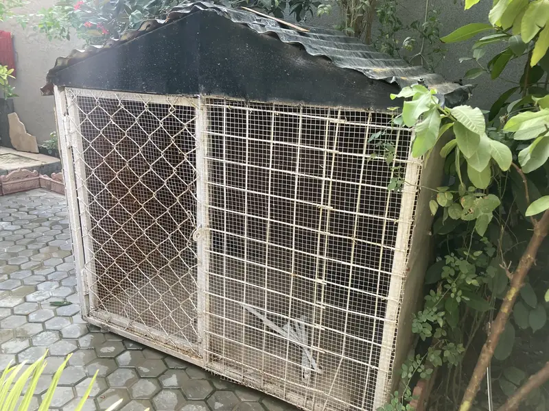 A BIG Dog/Hens House Cage For Sale — photo 5