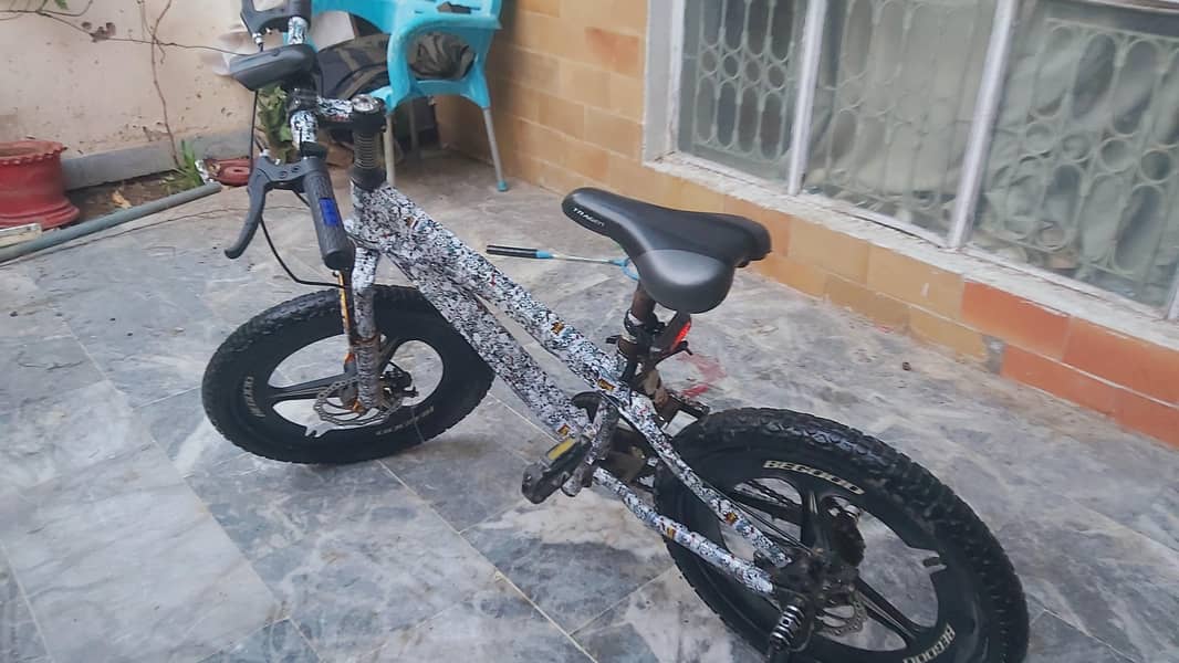 Bicycle 1
