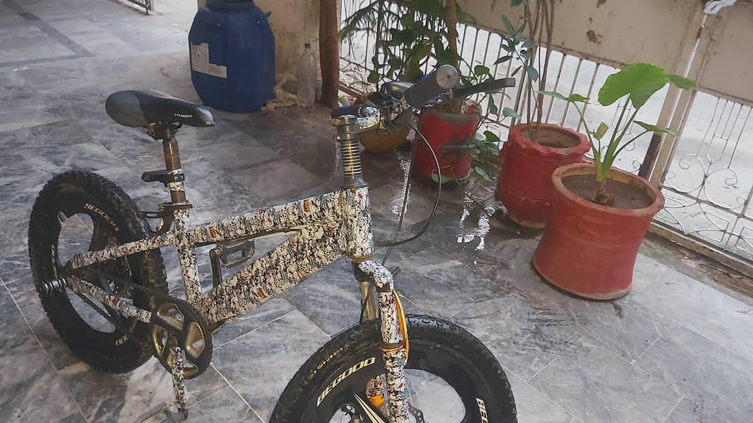 Bicycle 3