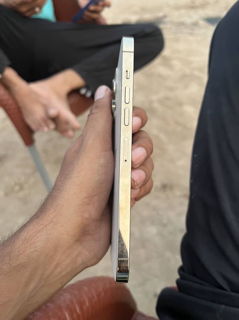 Apple iPhone 13 Pro Max 1
