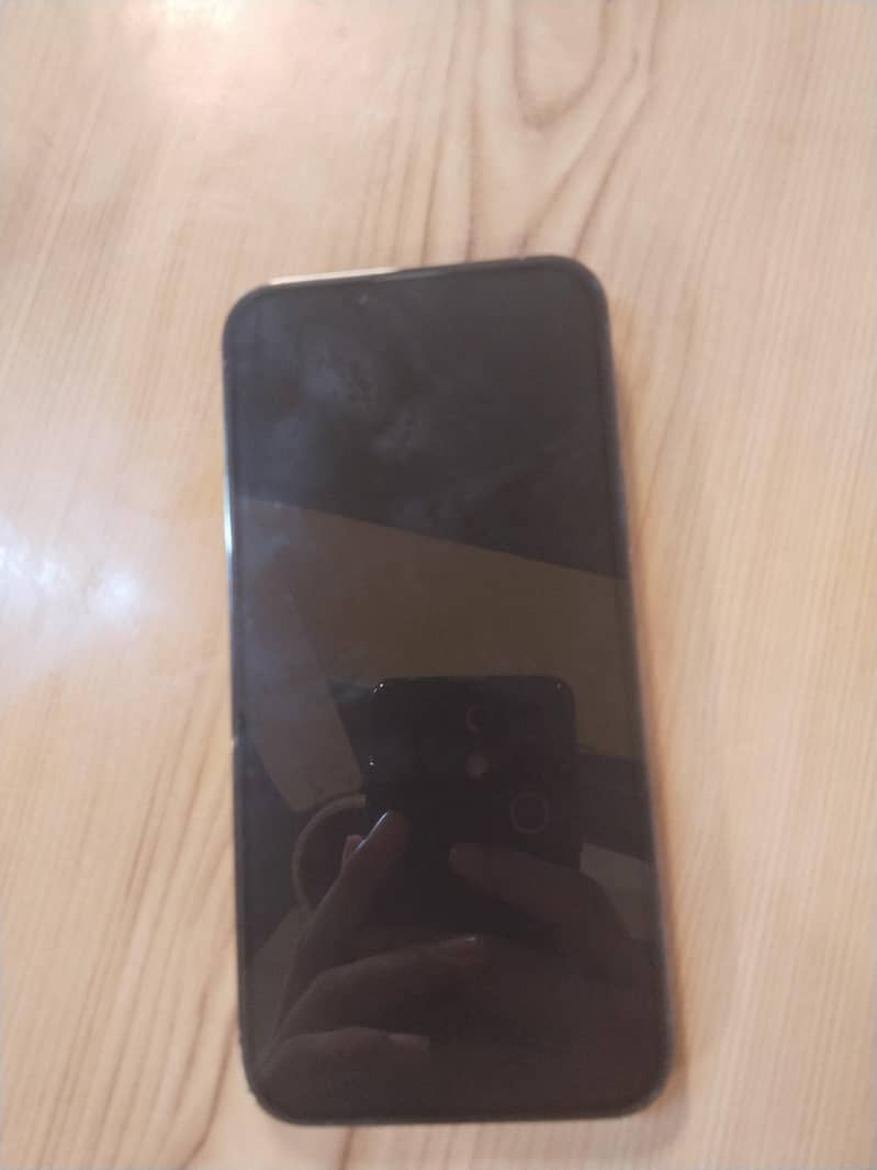 Apple iPhone 13 Pro Max 1