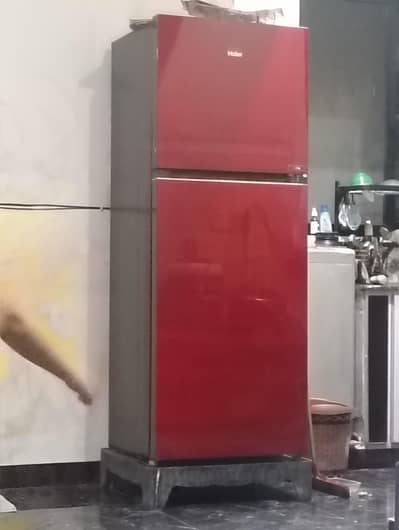refrigerator fridge