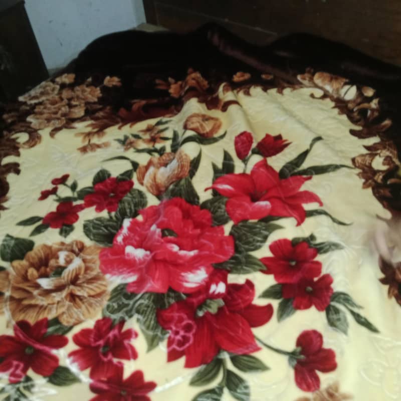 Blanket 1