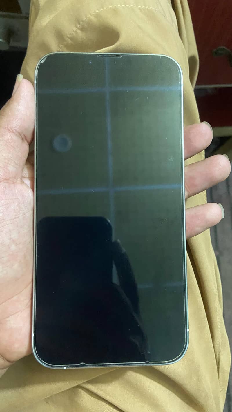 Apple iPhone 13 Pro Max 3