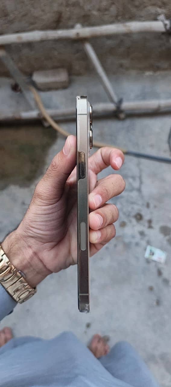 iphone 13 Pro max 1