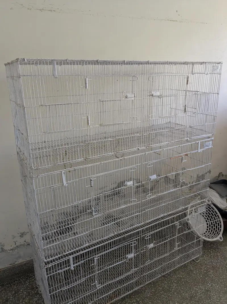 3 story cage — photo 2