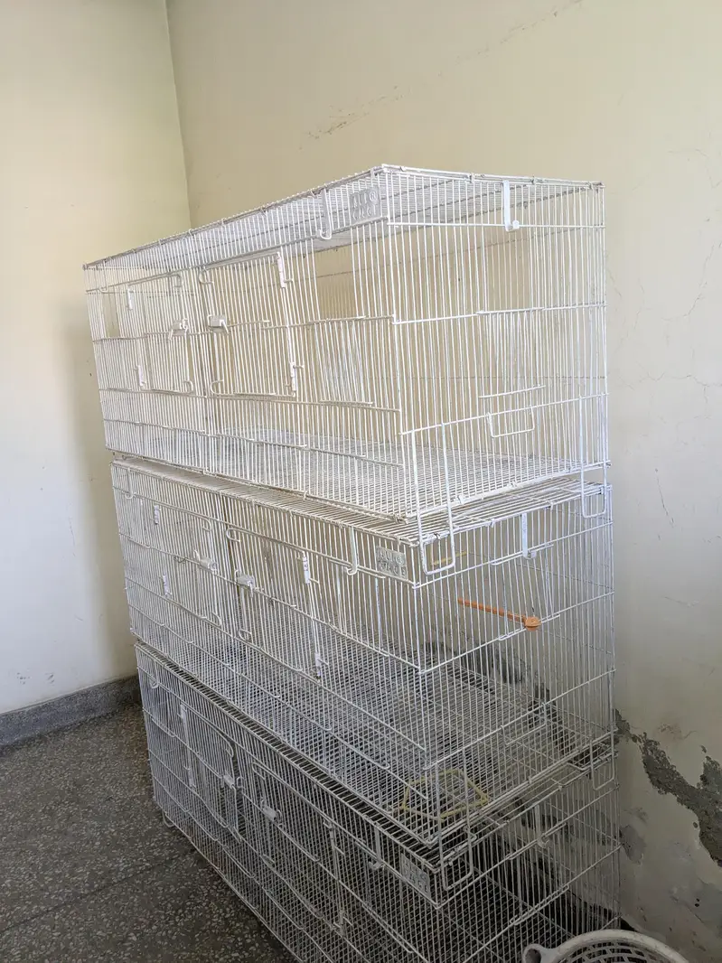 3 story cage — photo 3