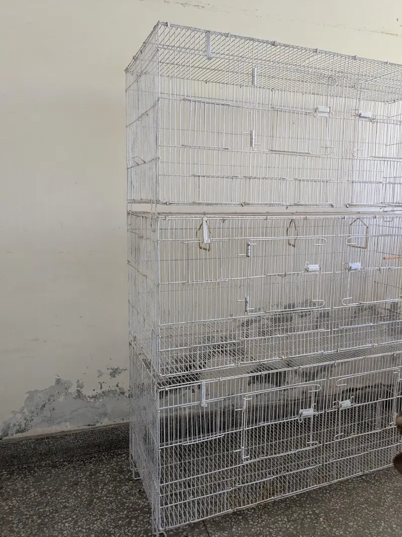 3 story cage — photo 4