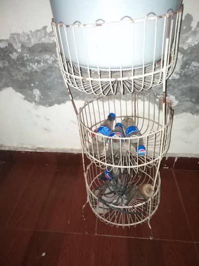 Kitchen utensils