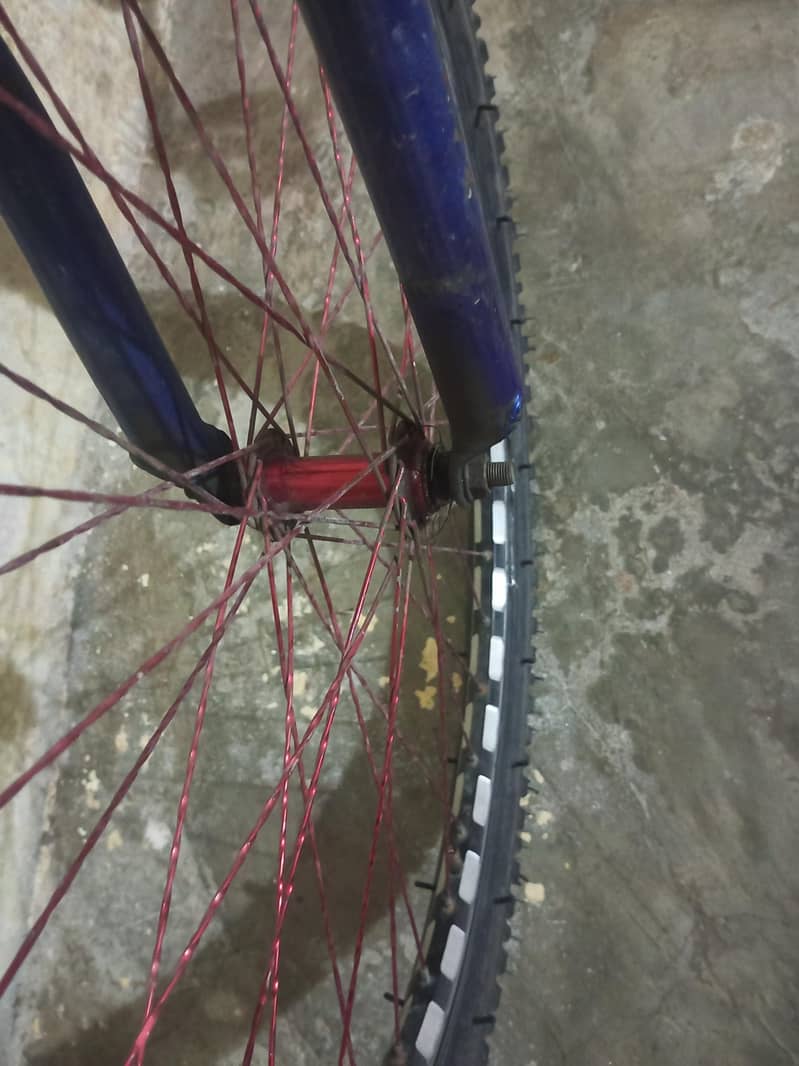Bicycle 1