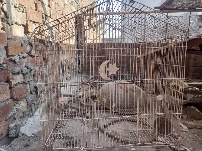 cages for sale — photo 3