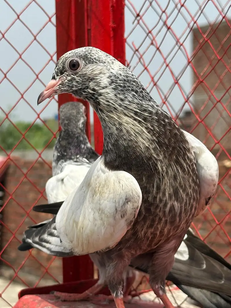 halthy and active baby — photo 2