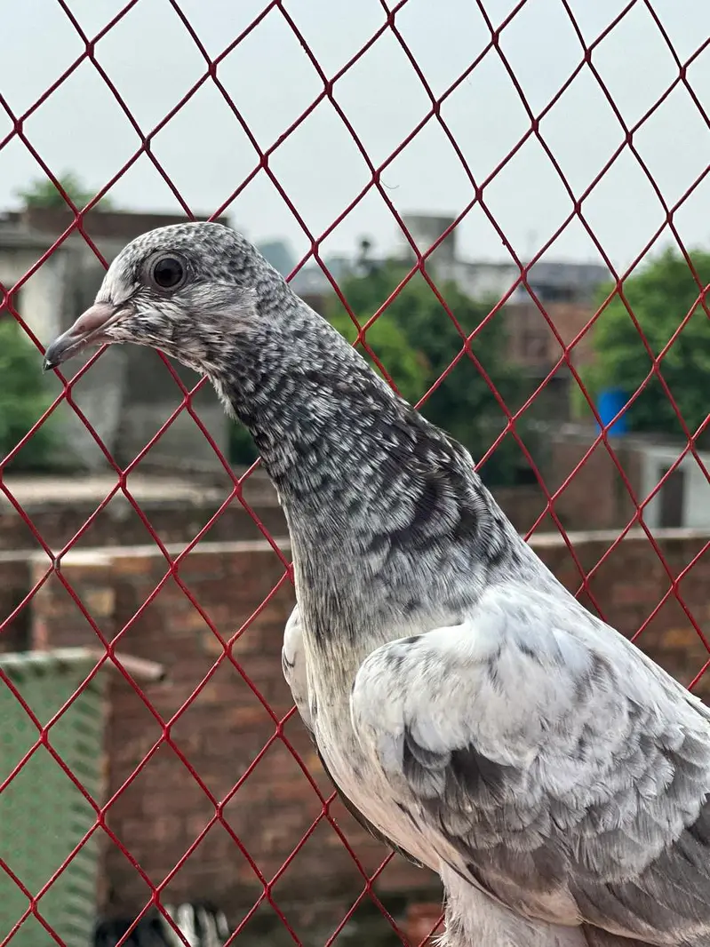 halthy and active baby — photo 10