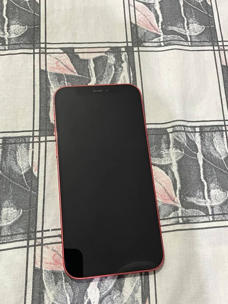 Apple iPhone 12 1