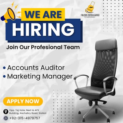 Accounts Auditor